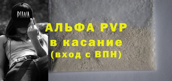 шишки Абинск