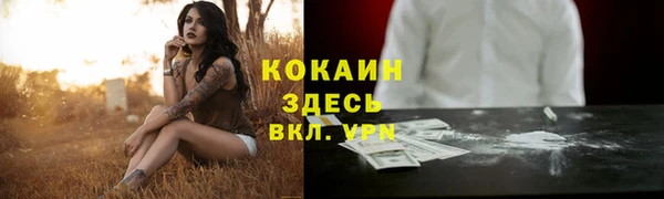 шишки Абинск