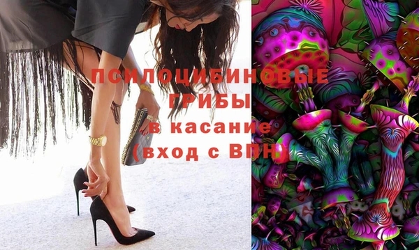 шишки Абинск